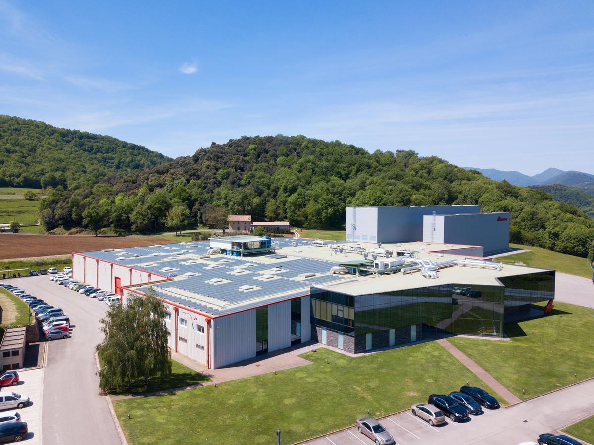 La planta d'Alzamora a la Garrotxa