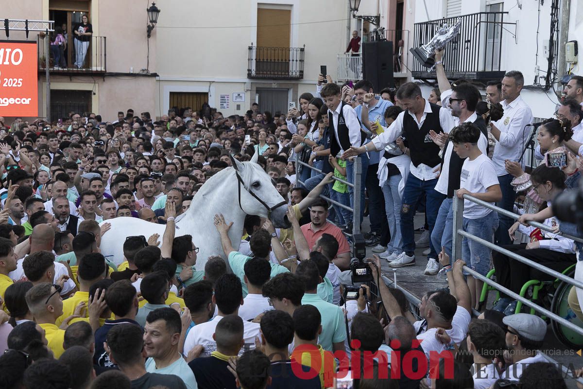 Fiestas de Caravaca | Entrega de premios del concurso morfológico