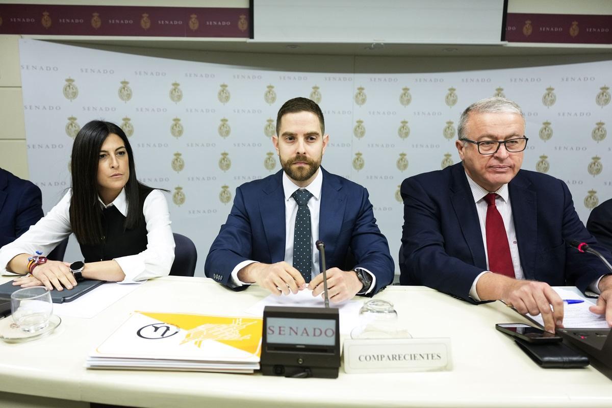 El secretario general del Sindicato Español de Maquinistas Ferroviarios (Semaf), Diego Martín, en el centro, en su comparecencia en la comisión de Adamuz en el Senado