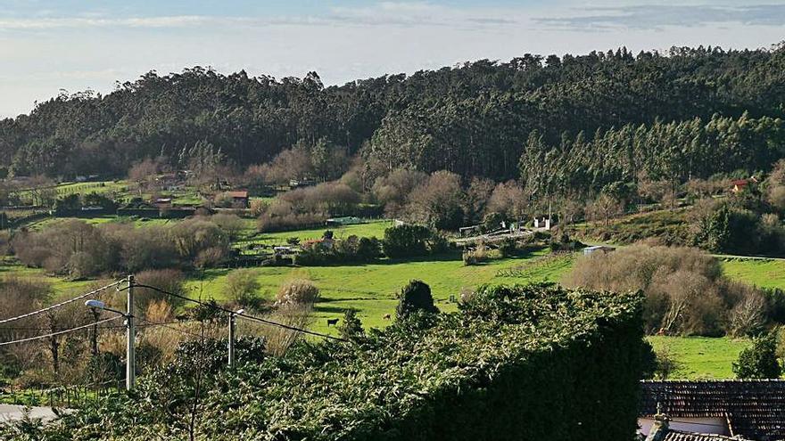 Zona de monte comunal en Beluso. |   // SANTOS ÁLVAREZ