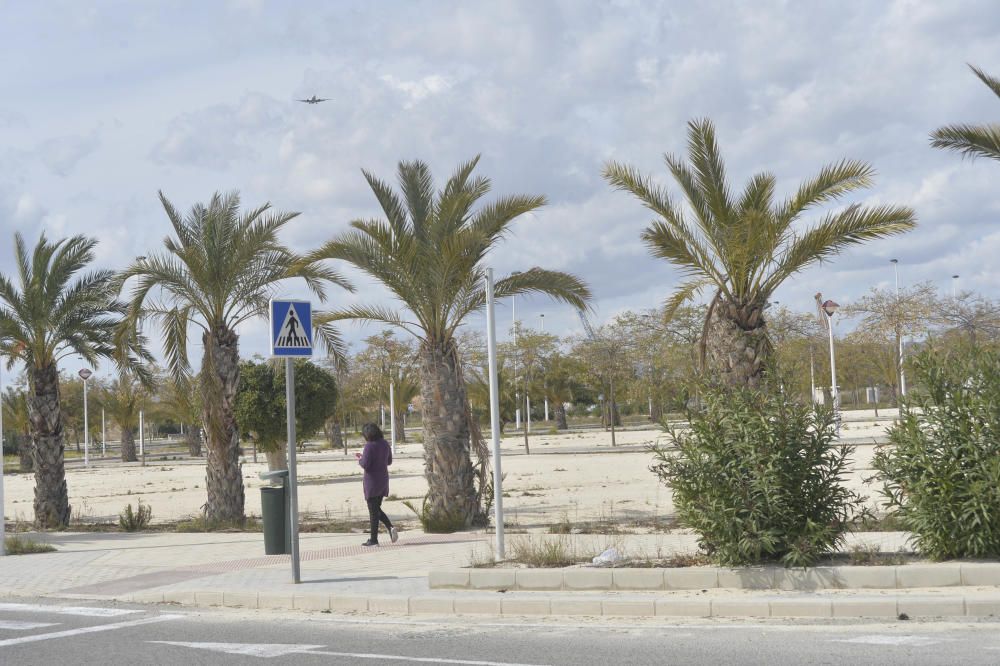 Los terrenos donde irá el Silicon Valley ilicitano