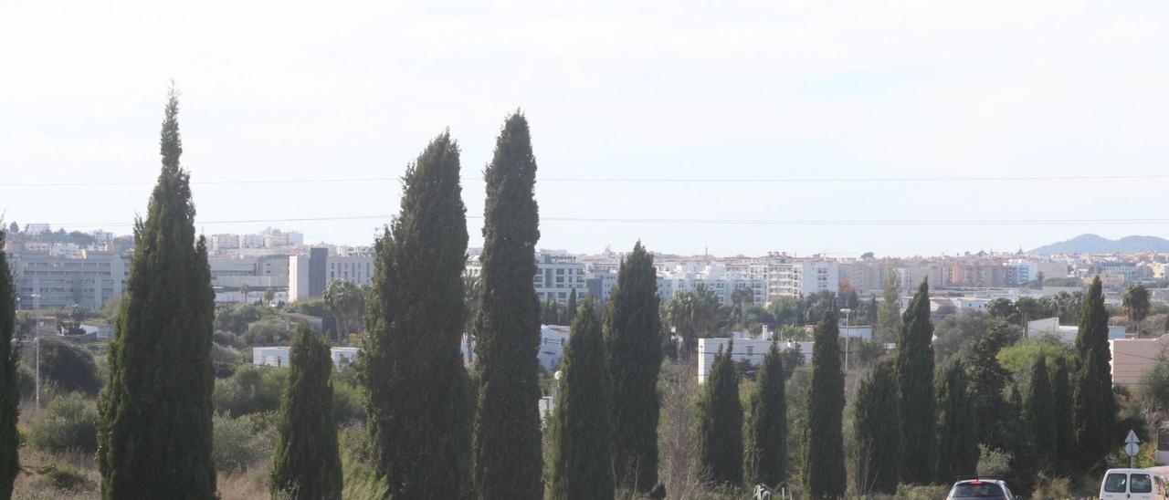 El terreno de la zona de Jesús, denominado Cas Doctor Martí, en la que se proyecta construir el nuevo hospital privado. | J. A. RIERA