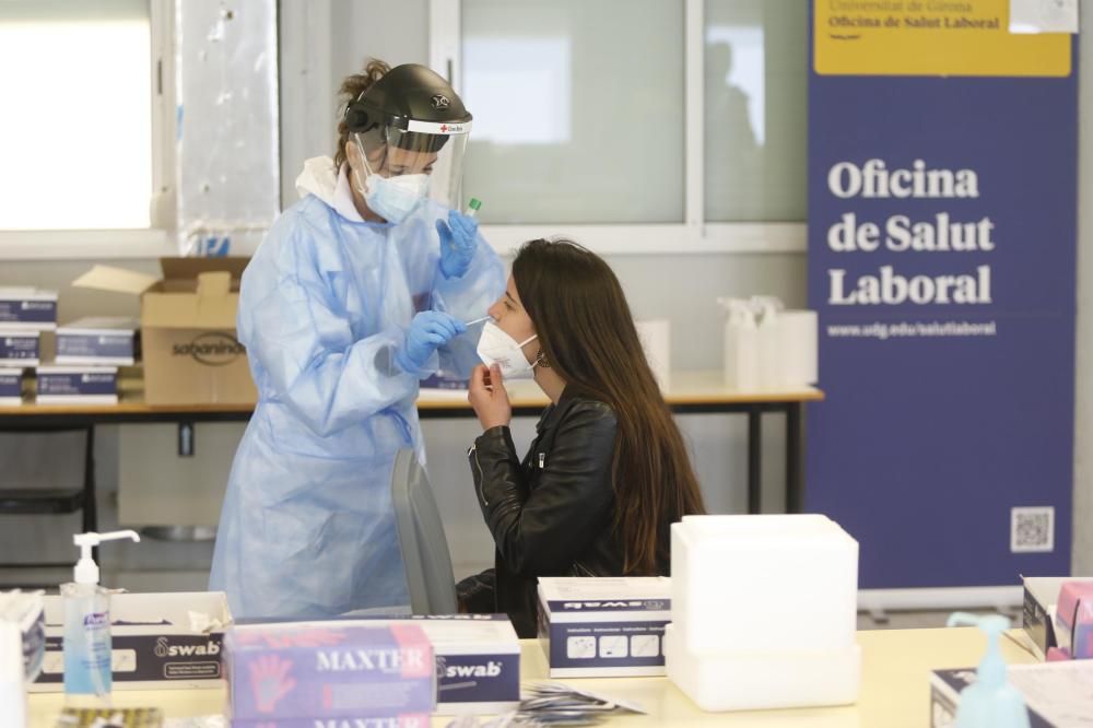 El cribratge massiu de la UdG arrenca amb 1.200 voluntaris inscrits de tota la comunitat educativa