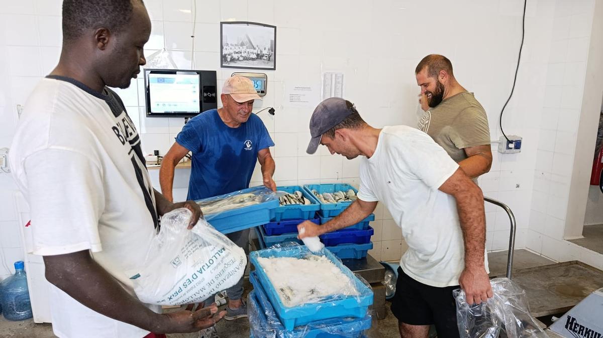 FOTOS | Las primeras llampugas llegan al puerto de Cala Rajada FOTOS | Las primeras llampugas llegan al puerto de Cala Rajada