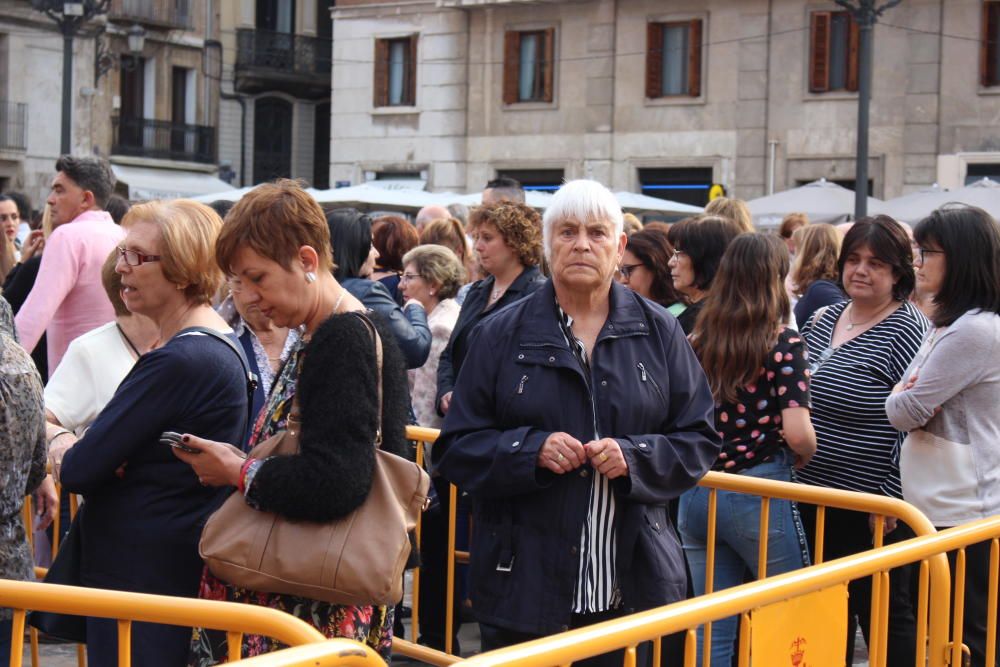 Besamanos a la Virgen de los Desamparados