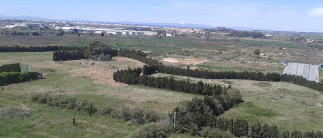 El Puig mantiene el PAI en el marjal pero descarta el parque temático de bodas