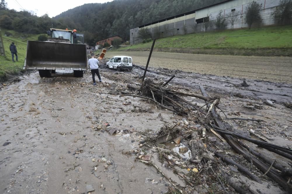 Temporal en Asturias: Un argayo sepulta una ganadería en Salas