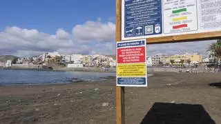 Los bañistas desafían la alerta sanitaria en la playa de Mogán:  «Los carteles que prohíben el baño no se ven»
