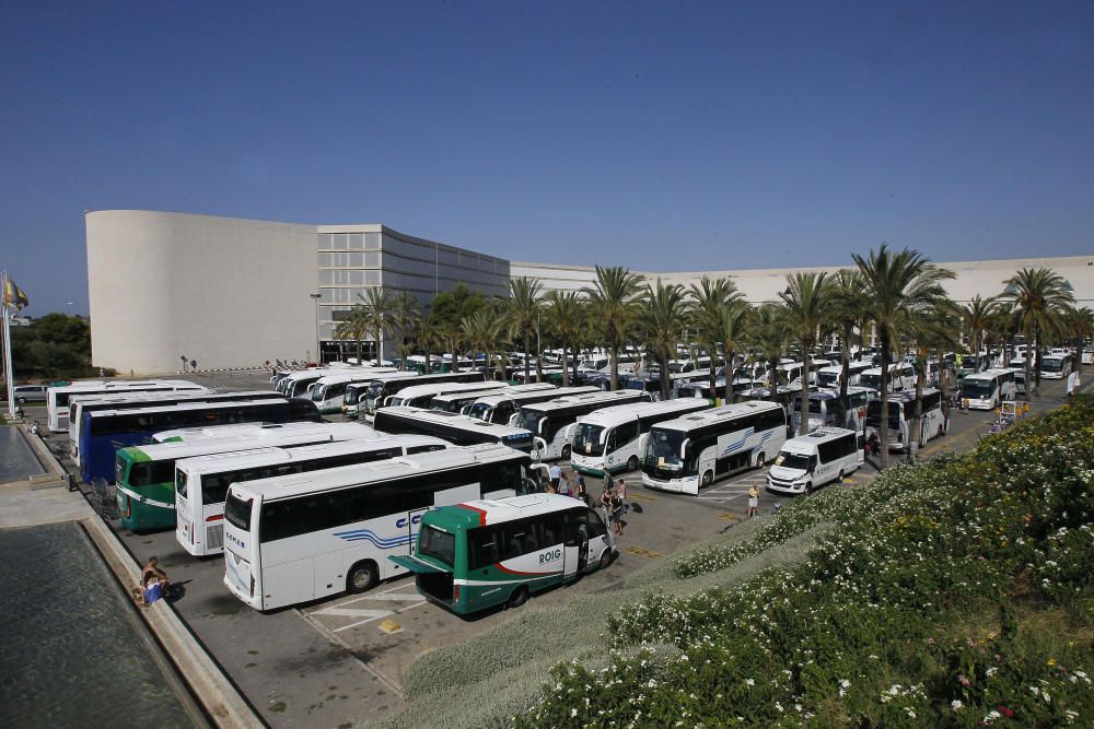 Zum Abschluss der Sommerferien in Spanien herrscht auf dem Flughafen von Mallorca Hochbetrieb: Zwischen Freitag (26.8.) und Montag (29.8.) werden insgesamt mehr als 600.000 ankommende und abfliegende Passagiere registriert.