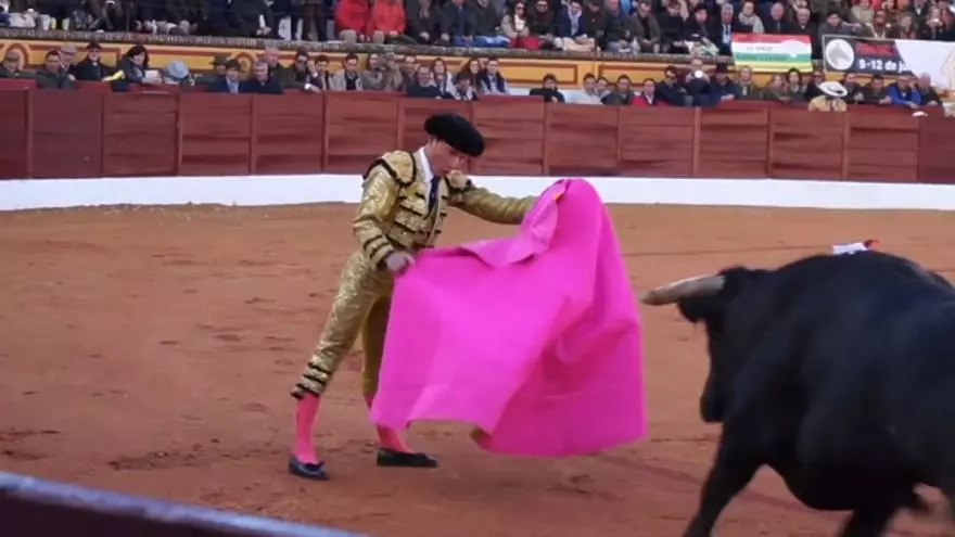 Vídeo promocional del Festival Internacional por la Tauromaquia (FIT)