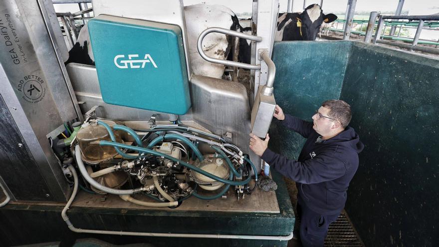 VÍDEO | Las vaquerías de Mallorca, tras el cierre de Agama: “No nos han dado margen de reacción”