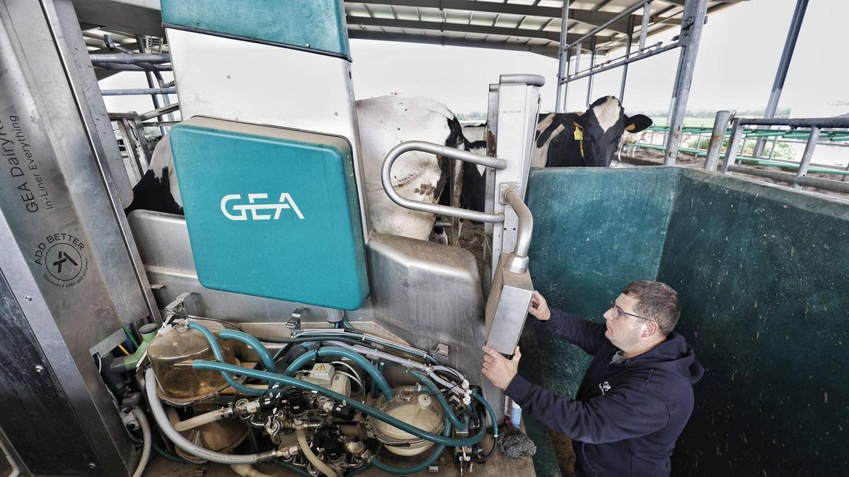 Baleares exigirá a Damm la devolución de una ayuda millonaria tras el cierre de la fábrica de Agama