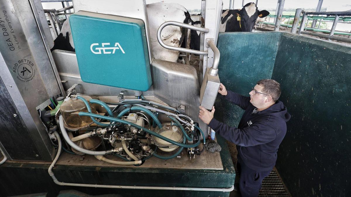 La vaquería más grande de Baleares, en imágenes