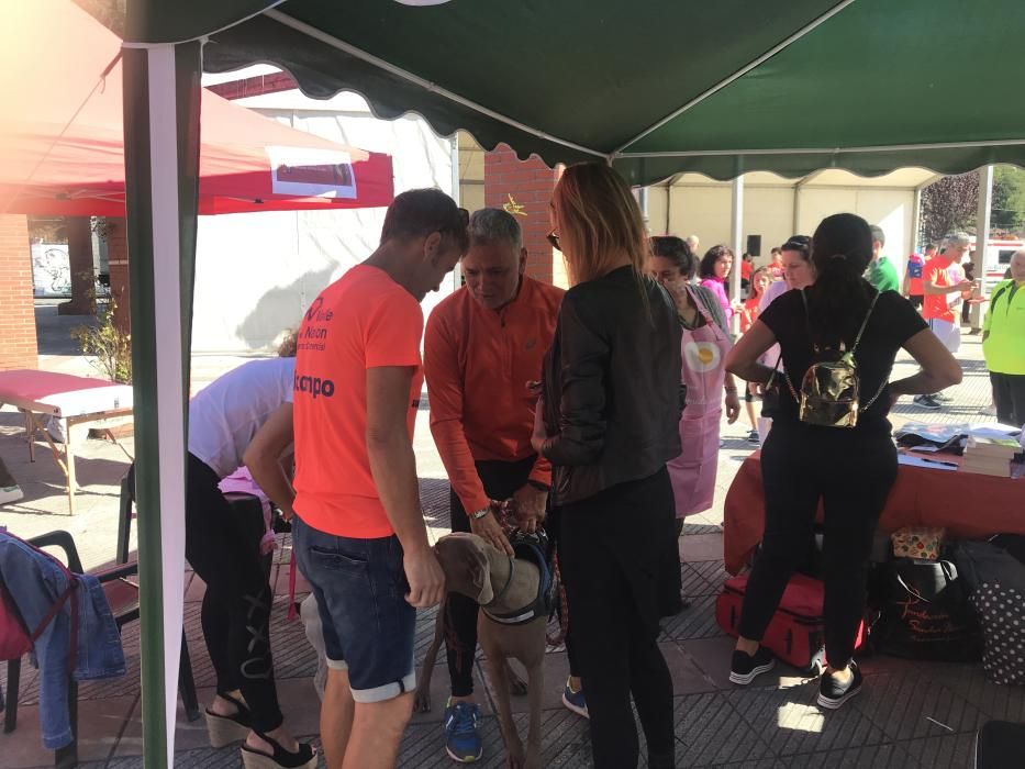 Quinta carrera solidaria contra el cáncer en San Martín del Rey Aurelio