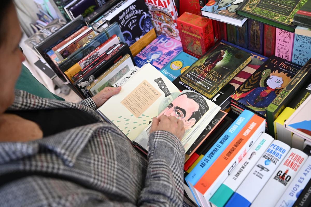 Variedad de todo tipo de géneros en la feria del libro de Elche