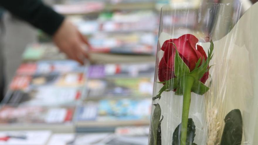 Consulta la previsió del temps per Sant Jordi