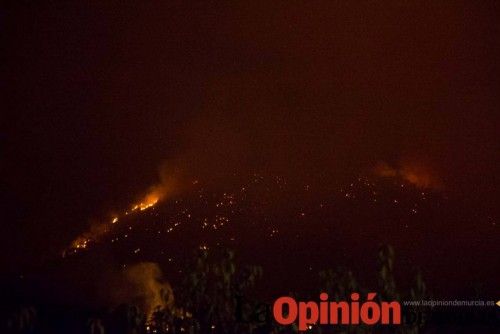 Incendio en la Zarcilla de Ramos