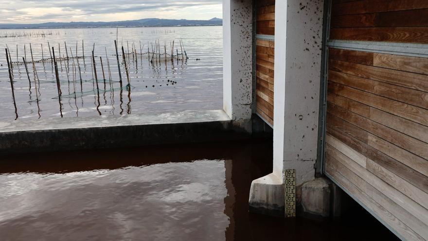 El lago de l&#039;Albufera sigue de color marrón, pero los controles no detectan daños en la flora y fauna