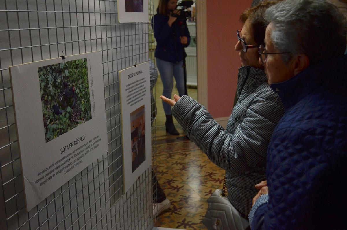 Inauguración de la exposición "El aula en la calle y la calle en el aula" en Benavente.