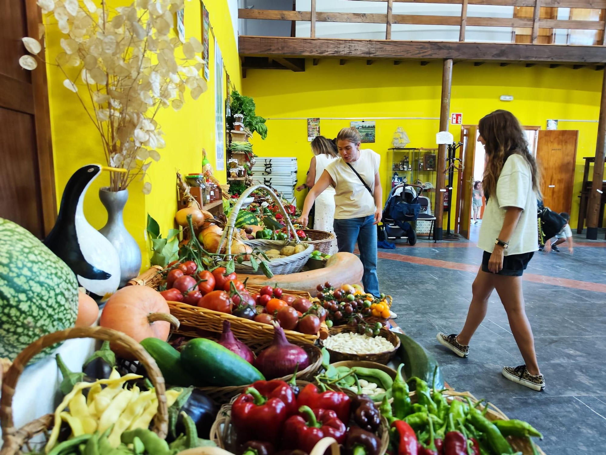 Quintes, entre hortalizas y plantas en una nueva exposición de la huerta
