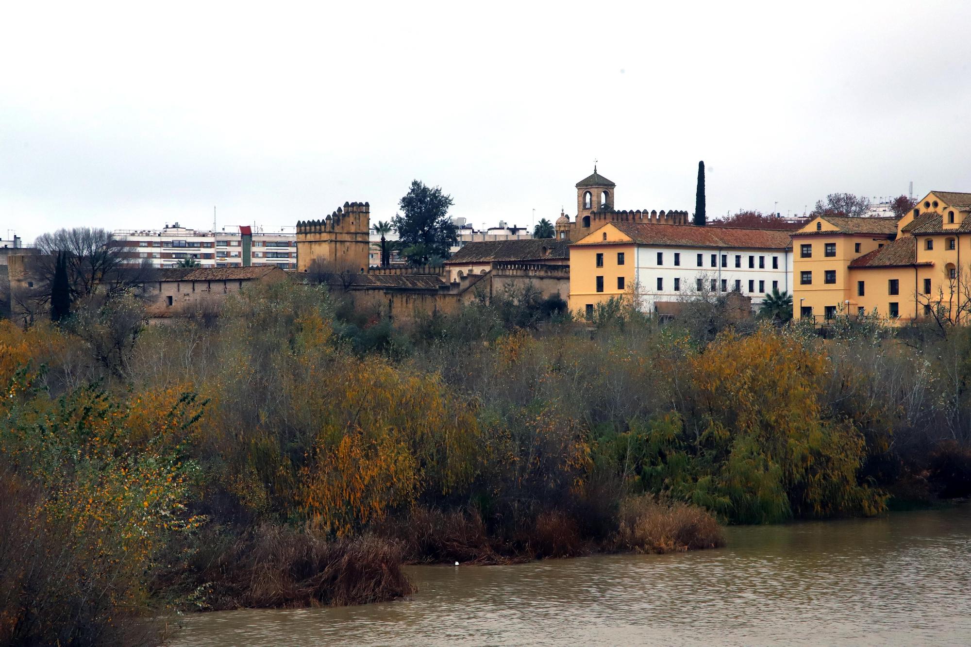 La vegetación no deja ver el río Guadalquivir