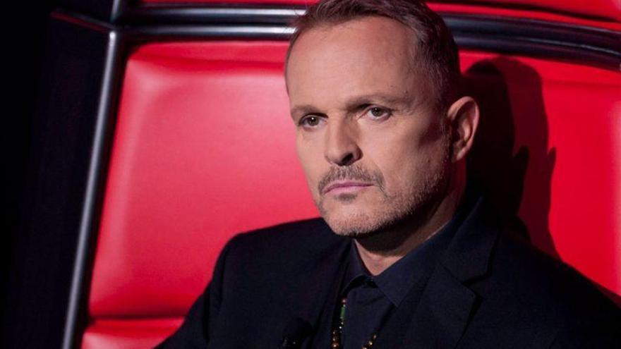 Miguel Bosé testifica en el juicio contra su madre por apropiación de un dibujo de Picasso