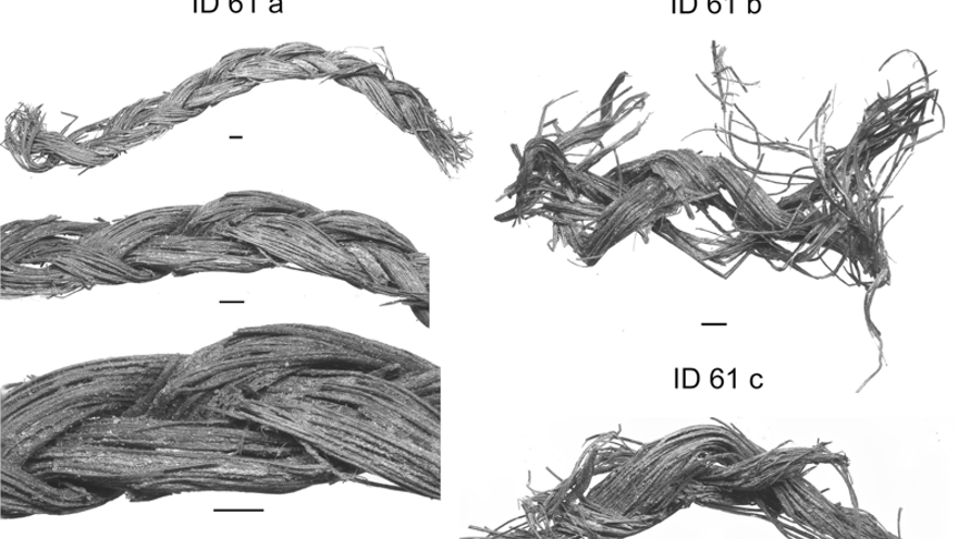 Hallan en Castell de Castells las cuerdas trenzadas más antiguas de Europa, de hace 12.700 años