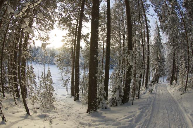 Parque Nacional de Nuuksio en Helsinki, Finlandia