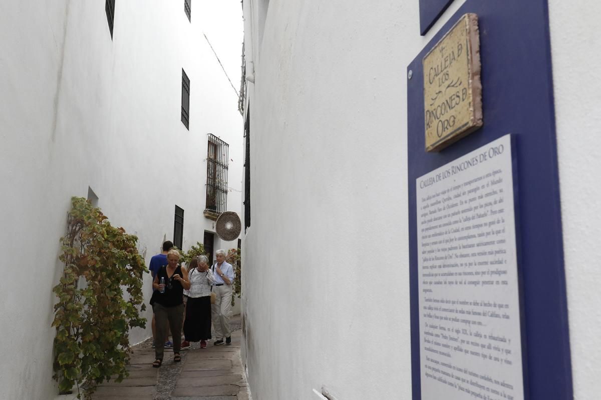 Gran ambiente en el Festival de las Callejas de Córdoba.