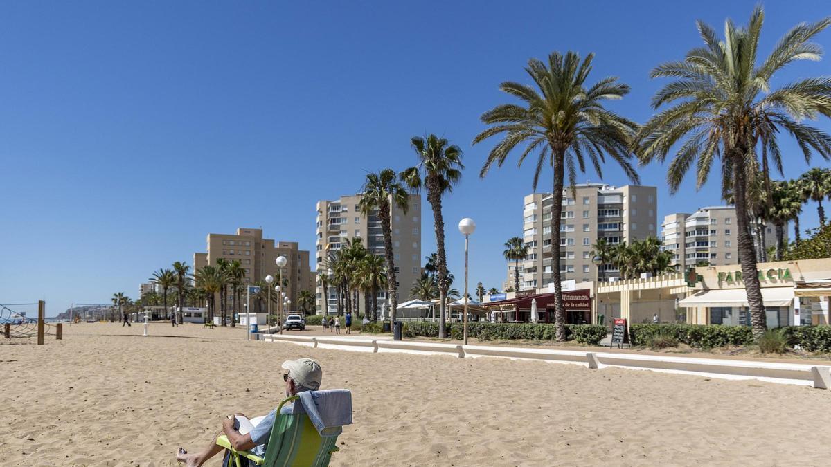 Vídeo | Así es el paseo de Tomás Durá de Alicante en "La calle es nuestra"