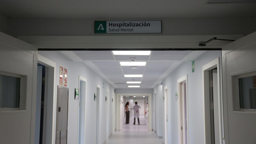 La contenciones mecánicas en pacientes con problemas de salud mental solo podrán utilizarse de &quot;forma excepcional&quot;