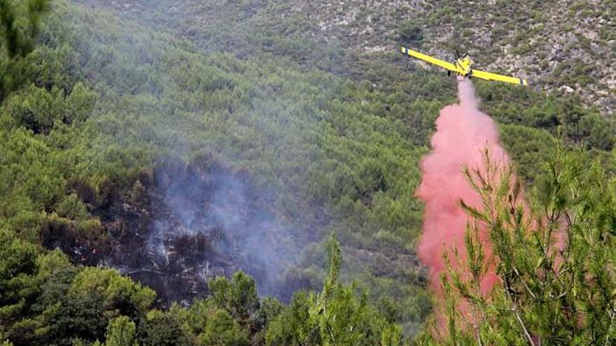 Un hidroavión ataca el incendio declarado ayer en un bosque de la Sierra de Mariola.