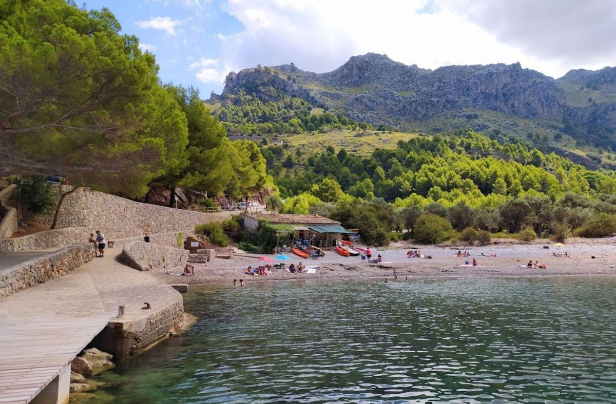 Vista general de Cala Tuent. | JOAN MORA