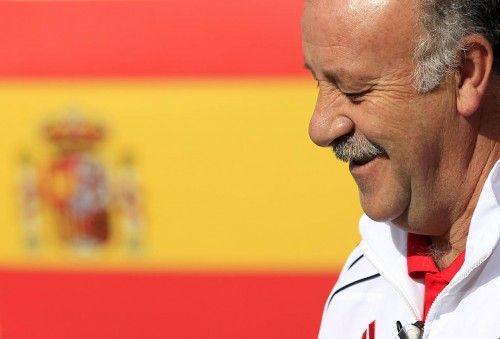 Cinco años de Vicente del Bosque en la selección española.