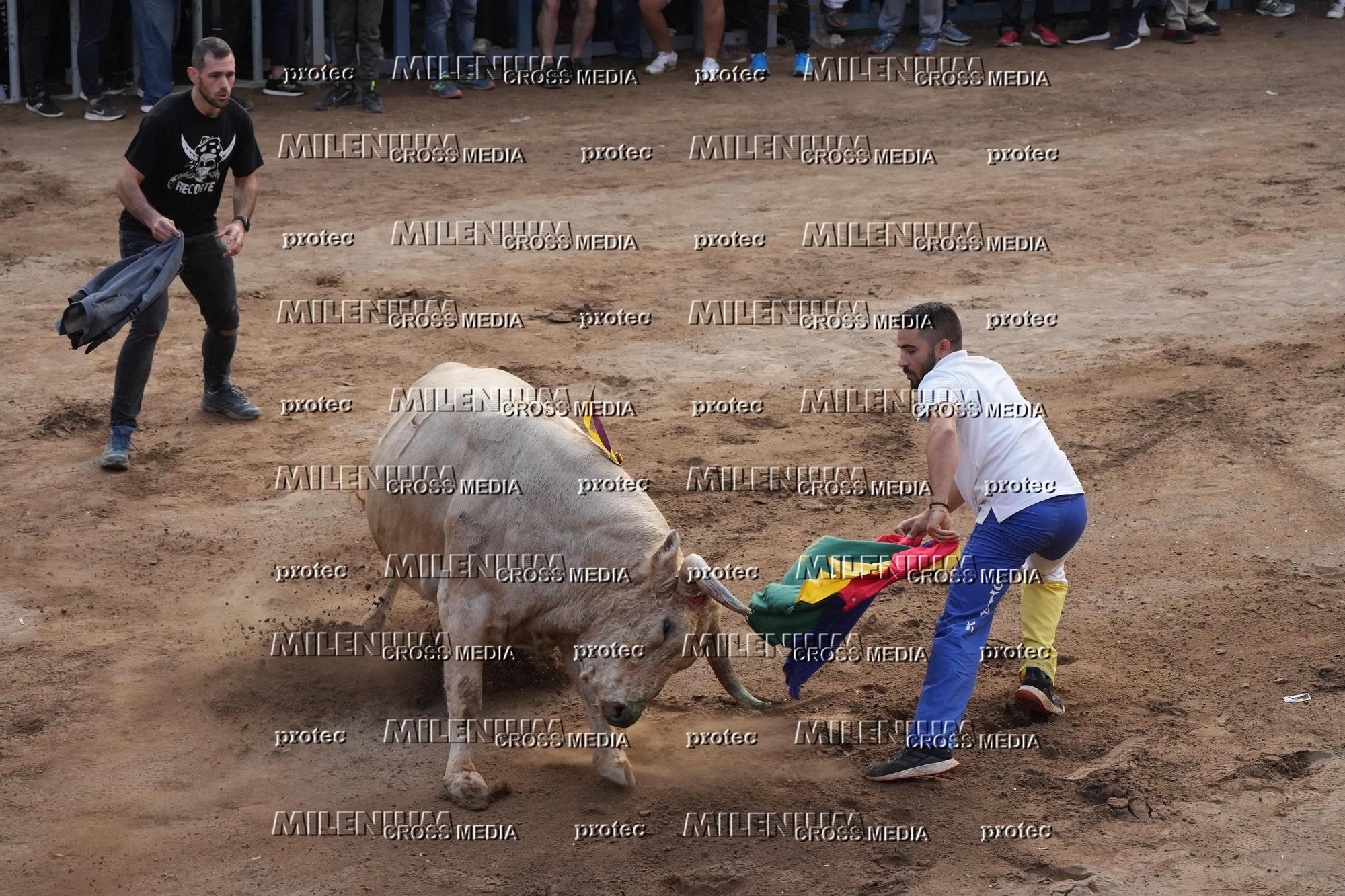 Galería de fotos de la última tarde de toros de la Fira en Onda