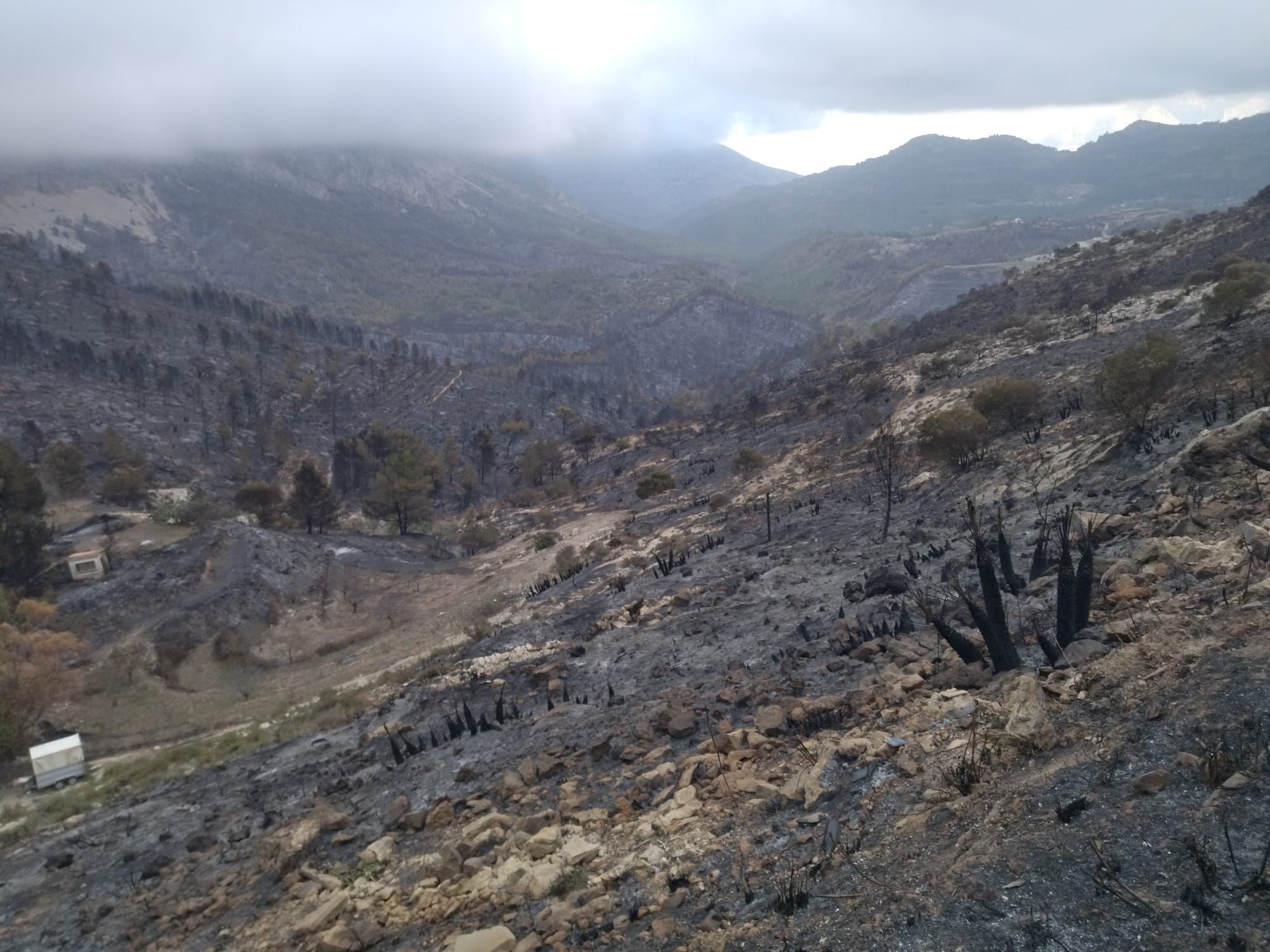 La destrucción del incendio de Tàrbena, en imágenes