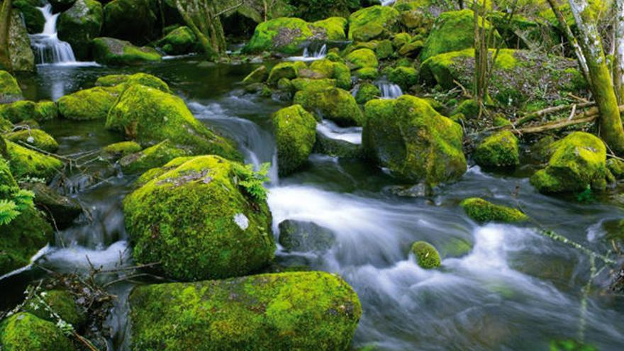 Acuífero de Cabreiroá. // Terrasdaauga.com