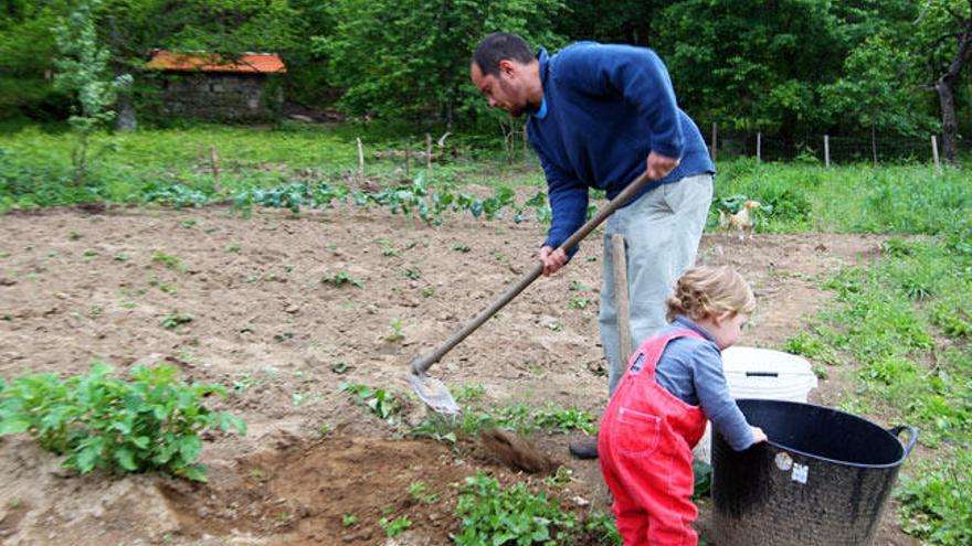 Un joven trabaja junto a su hijo en una finca de Ourense // J. Regal