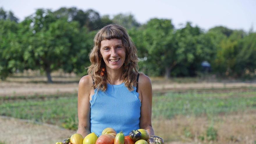 L'horta empordanesa amb més de 150 varietats de tomàquets d'arreu del món