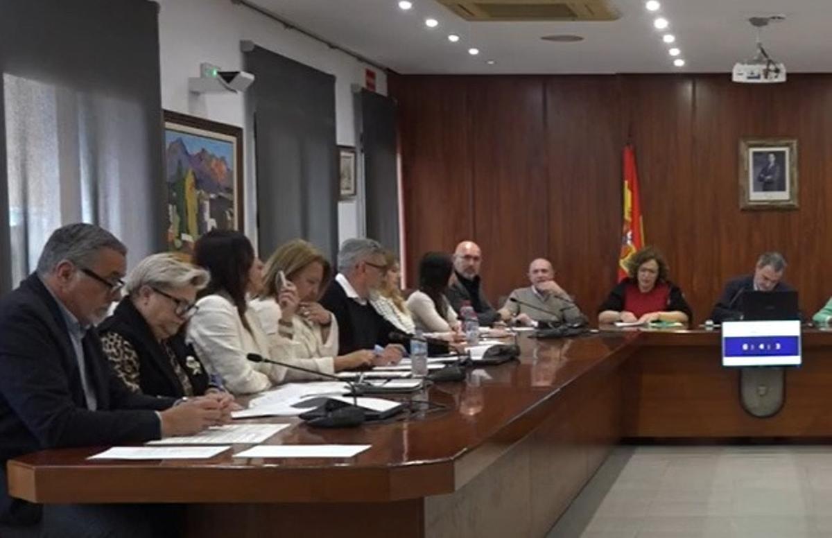 Un instante del pleno.