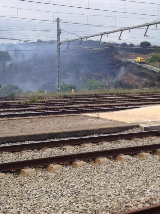 Un incendi forestal crema a tocar de l'estació de tren de Llançà