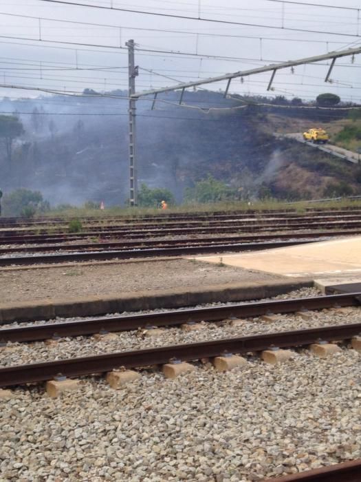 Un incendi forestal crema a Llançà