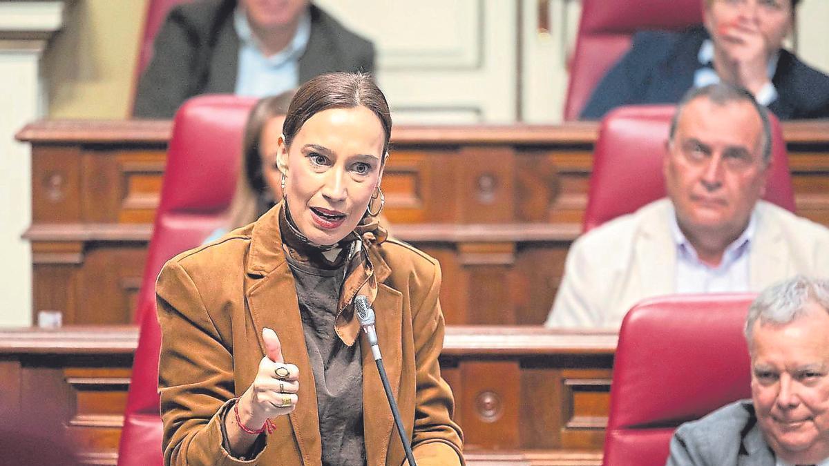 La diputada socialista Nira Fierro, ayer en una de sus intervenciones desde el escaño.