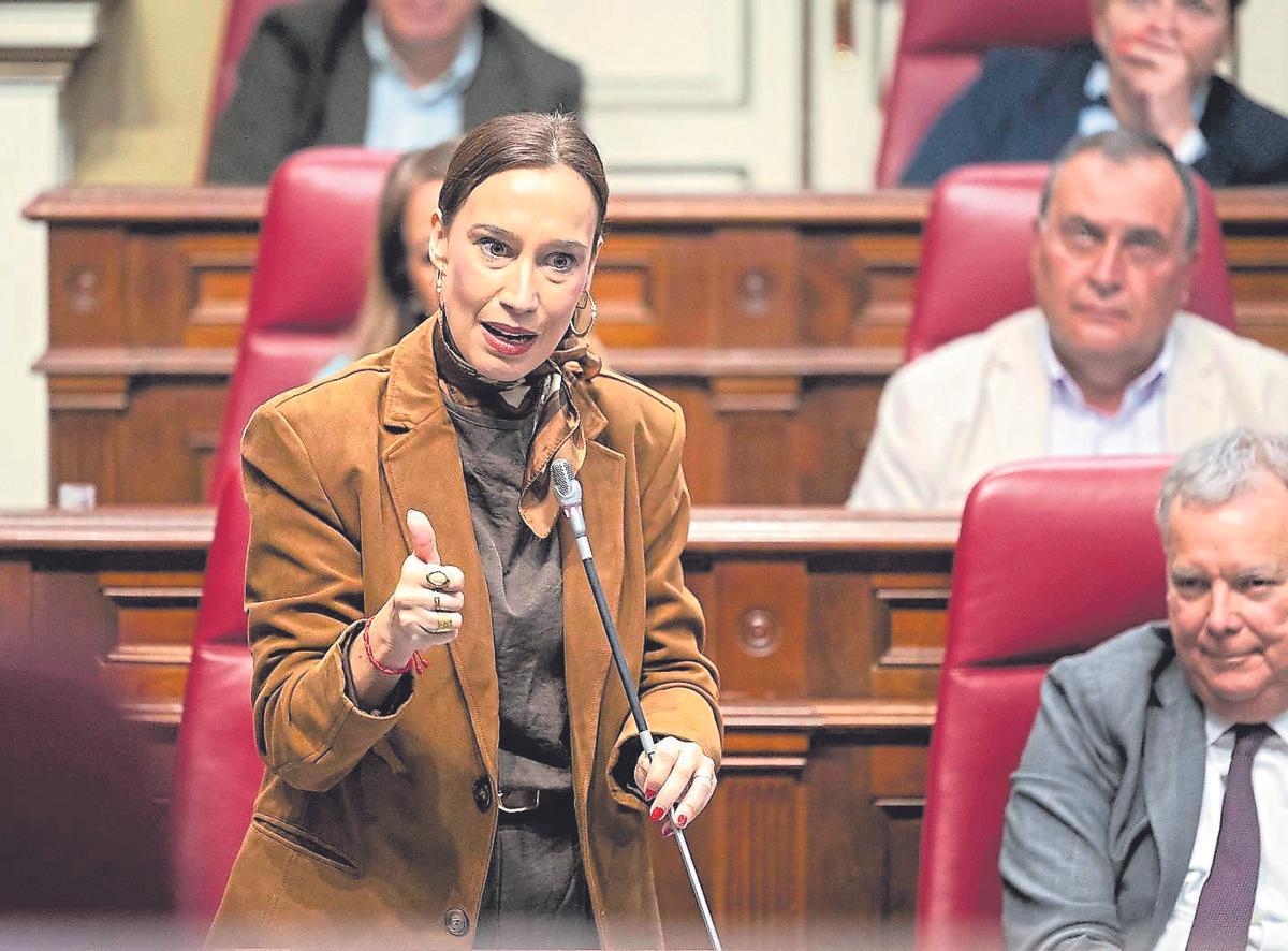 La diputada socialista Nira Fierro, ayer en una de sus intervenciones desde el escaño.