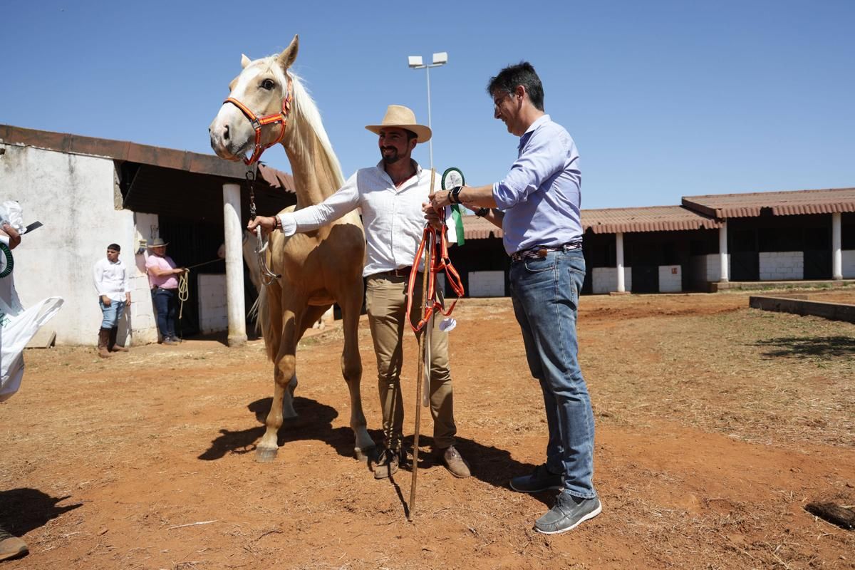 Fotogalería | Así se ha desarrollado la feria equina de Cáceres