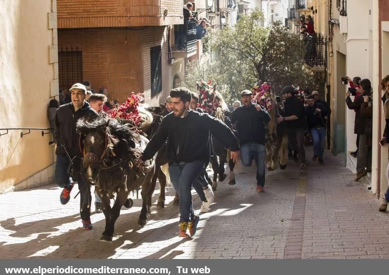 Sant Antoni en la provincia de Castellón