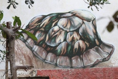 Sieh an, sieh an: Street Art auf Mallorca