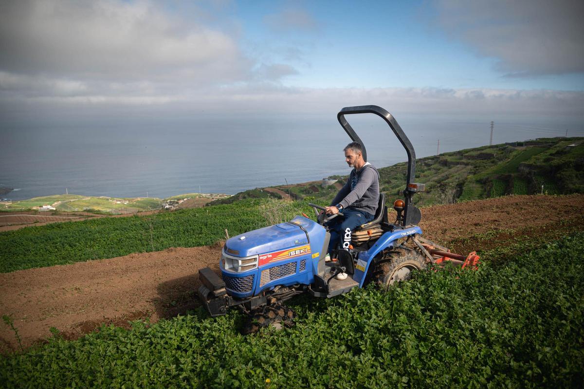 Manuel Reyes, presidente de la Cooperativa Las Medianías de San Juan de la Rambla