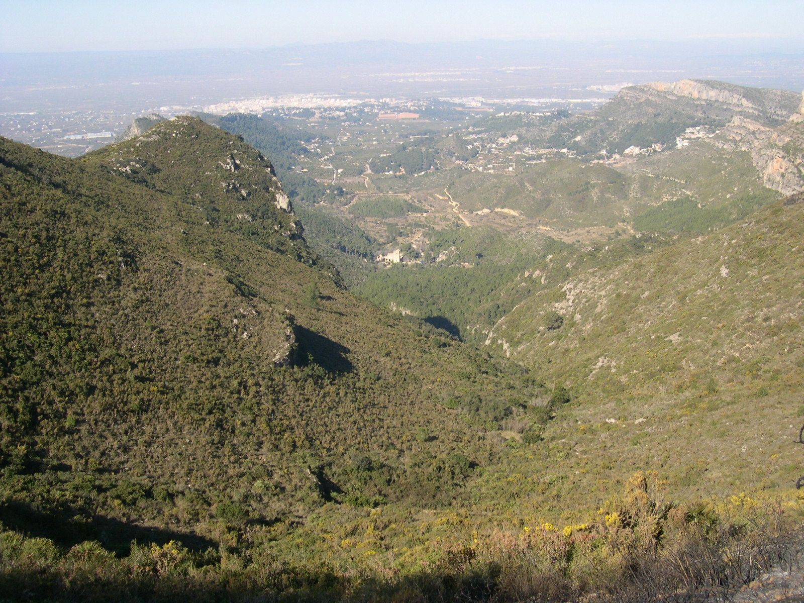 Un paseo por el paraje de la Murta y la Casella de Alzira