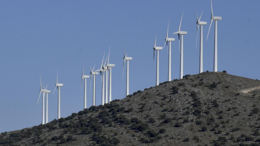 La UMH rechaza los aerogeneradores en un 20% de la península por la muerte de buitres